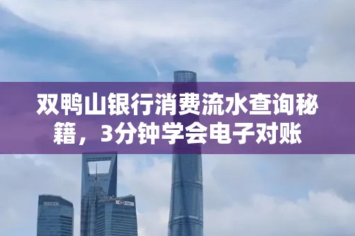 双鸭山银行消费流水查询秘籍，3分钟学会电子对账