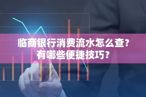 临商银行消费流水怎么查？有哪些便捷技巧？