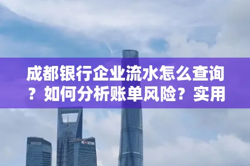 成都银行企业流水怎么查询？如何分析账单风险？实用指南