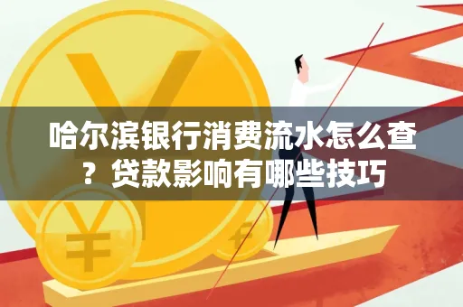 哈尔滨银行消费流水怎么查？贷款影响有哪些技巧