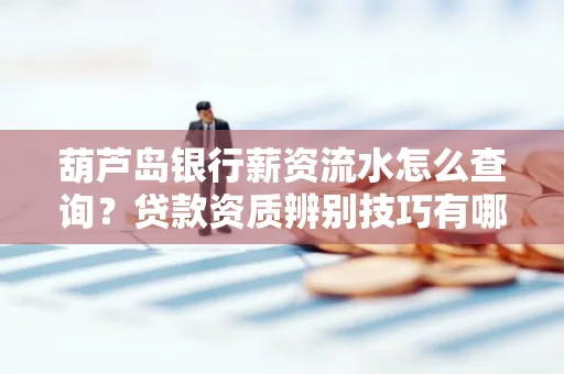 葫芦岛银行薪资流水怎么查询？贷款资质辨别技巧有哪些？
