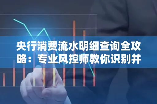 央行消费流水明细查询全攻略：专业风控师教你识别并规避用卡风险！